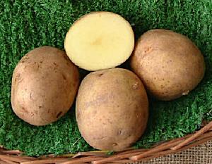 Colleen - � Dundry Nurseries & Garden Centre
