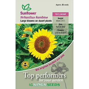 Sunflower Bambino