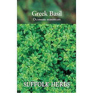 Basil - Greek