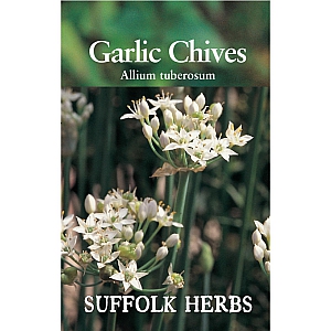 Garlic Chives