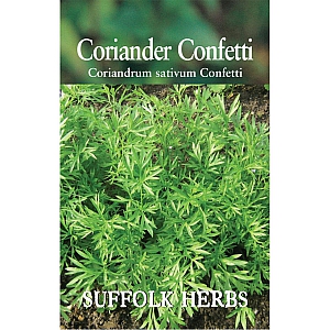 Coriander Confetti