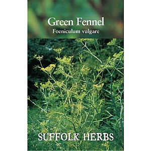 Fennel - Green