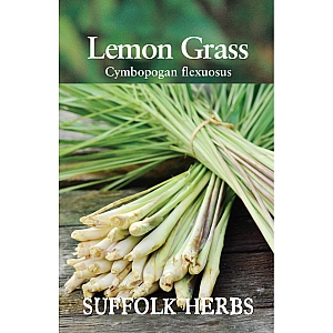 Lemon Grass