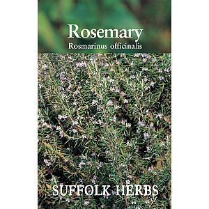 Rosemary