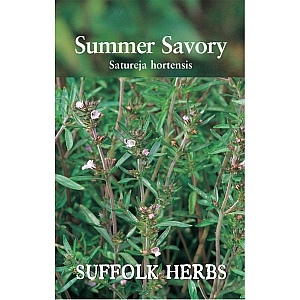 Summer Savory