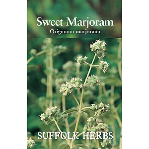 Marjoram - Sweet