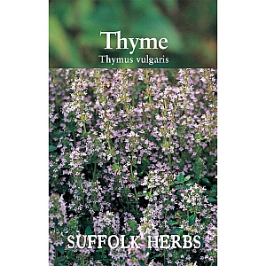 Thyme