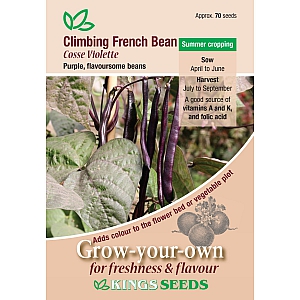 Cosse Violette Climbing French Bean
