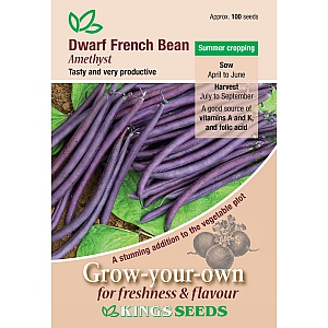 Dwarf French Bean Amethyst