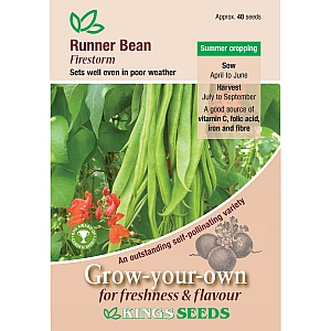 Runner Bean Firestorm