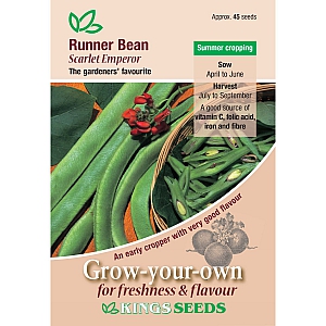 Runner Bean Scarlet Emperor