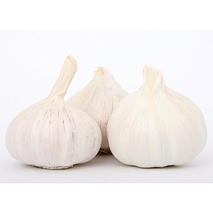 Cristo Garlic