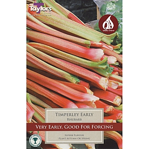 Timperely Early Rhubarb