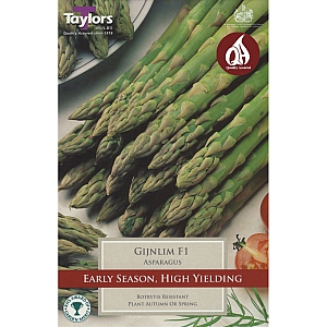 Gijnlim F1 Asparagus