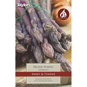 Pacific Purple Asparagus