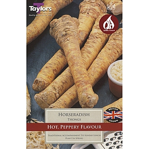 Horseradish