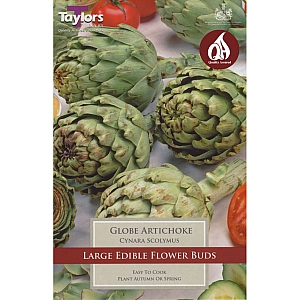 Globe Artichoke