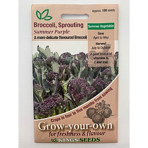 Broccoli Summer Purple Sprouting