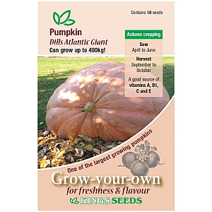 Pumpkin Dills Atlantic Giant