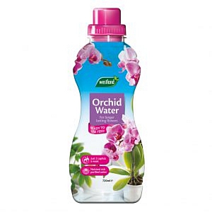 Westland Orchid Water