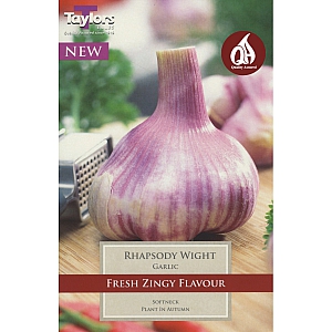 Rhapsody Wight Garlic