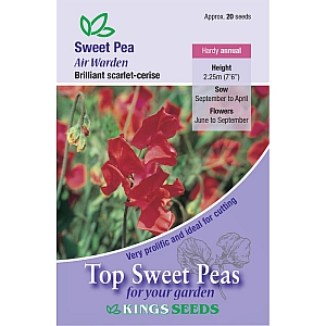 Air Warden Sweet Pea
