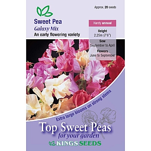 Galaxy Mix Sweet Pea