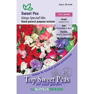Kings Special Mix Sweet Pea