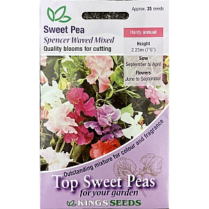 Spencer Waved Mixed Sweet Pea