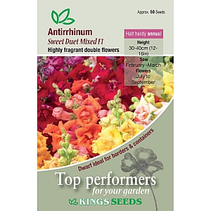 Antirrhinum Sweet Duet Mixed F1