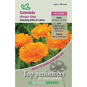 Calendula Orange King