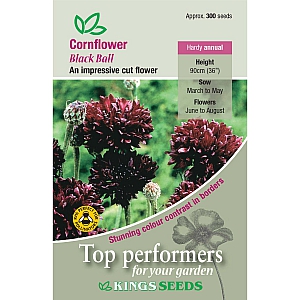 Cornflower Black Ball