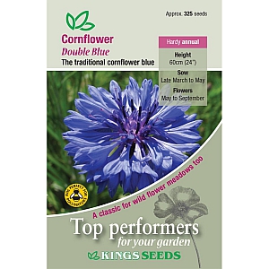 Cornflower Double Blue