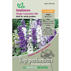 Delphinium Magic Fountains Mix