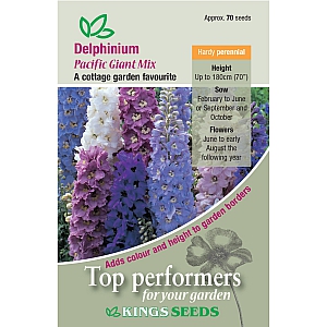 Delphinium Pacific Giant Mix