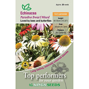 Echinacea Paradiso Mixed