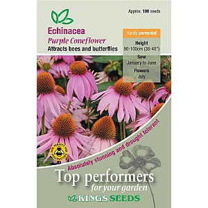 Echinacea Purple Coneflower