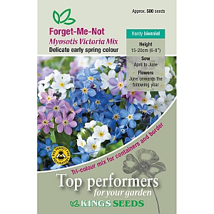 Forget-Me-Not Myosotis Victoria Mix