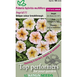 Petunia hybrida multiflora Ingrid F1
