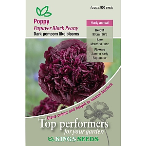 Poppy Black Peony