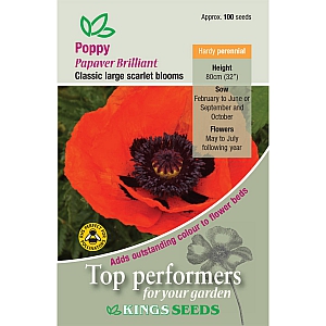 Poppy Brilliant