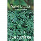 view Salad Burnet details
