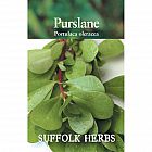 view Purslane details