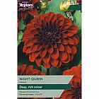 view Night Queen Dahlia details