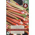 view Timperely Early Rhubarb details