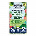 view Growing Success Apple Maggot Trap details